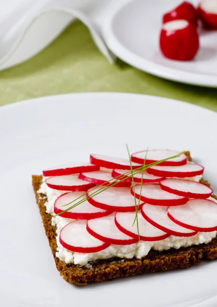 Radieschen-Sandwich — Stockfoto