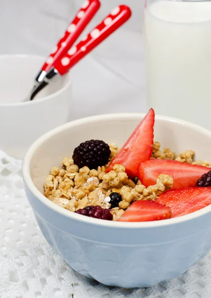 Granola con bayas frescas — Foto de Stock