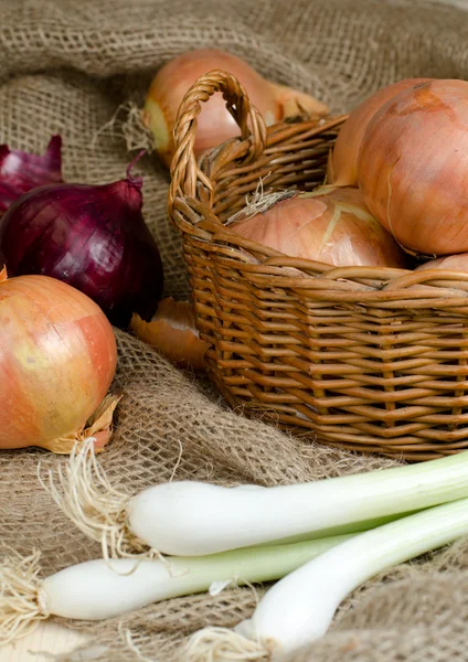 Ripe onions in the basket — Stock Photo, Image