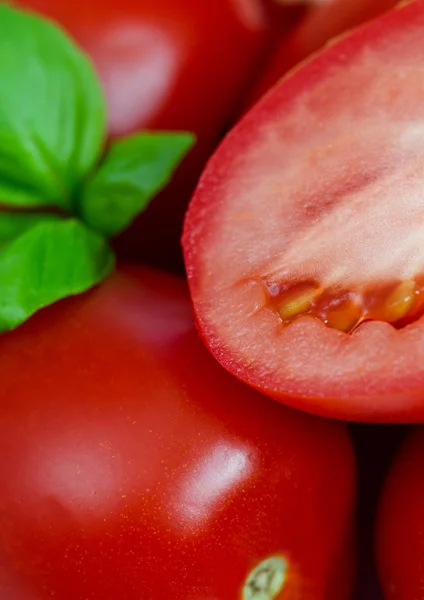 Tomates, primer plano —  Fotos de Stock