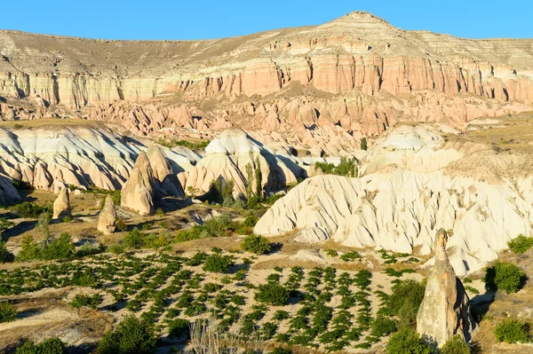 Cappadocia in Turchia — Foto Stock