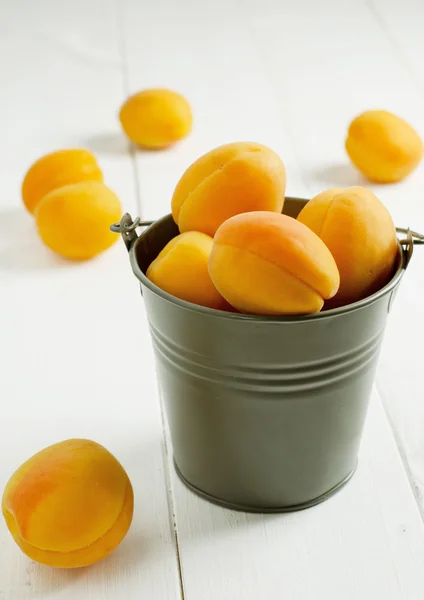 Apricots in metal pail — Stock Photo, Image