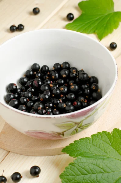 Schwarze Johannisbeeren — Stockfoto