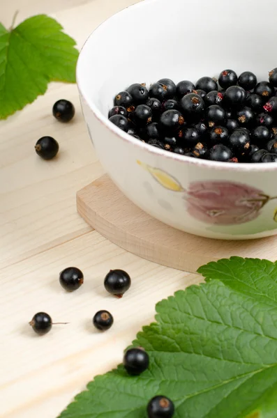 Schwarze Johannisbeeren in einer Schüssel — Stockfoto