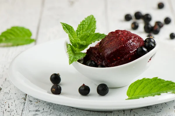 Schwarzes Johannisbeersorbet — Stockfoto