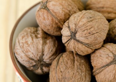 Ceviz, yakın çekim