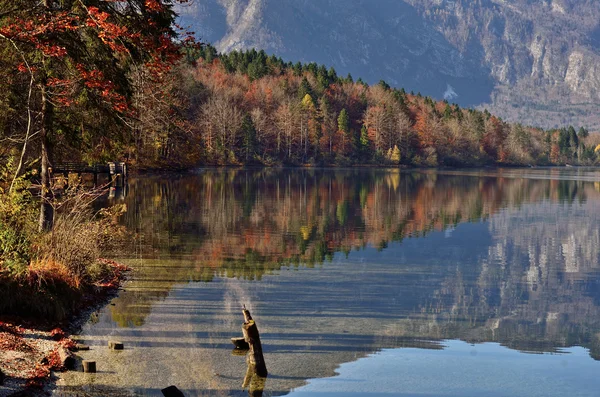 Lake Bohinj, Slovenia — Stock Photo, Image