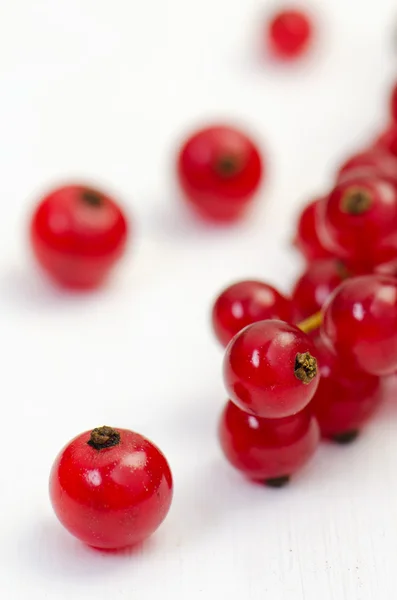 Frenk üzümü, close up — Stok fotoğraf