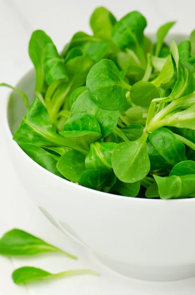 Lamb's lettuce — Stock Photo, Image