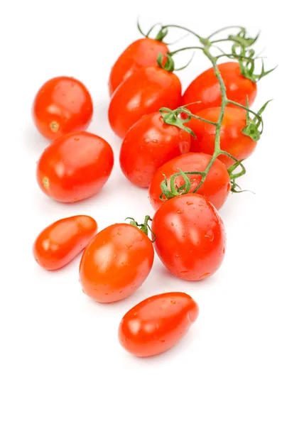 Küçük domates izole, — Stok fotoğraf
