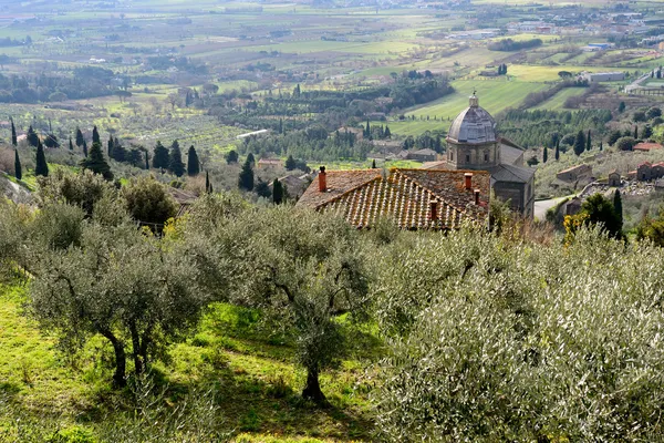 Montepulciano, Τοσκάνη — Φωτογραφία Αρχείου