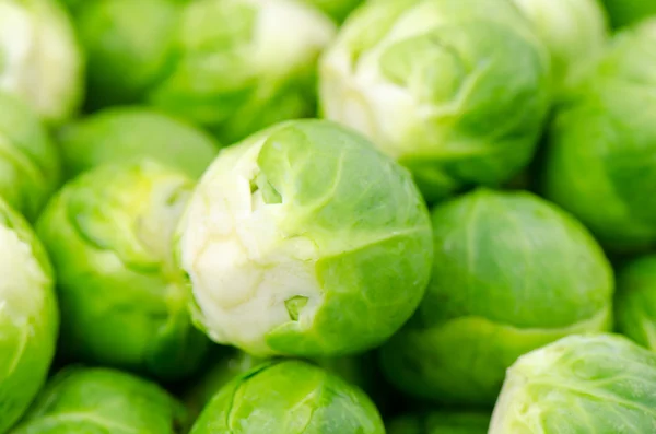 Brussel sprouts — Stock Photo, Image