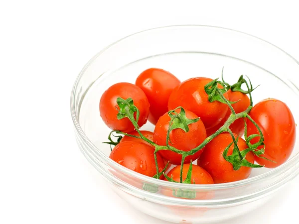 Tomates pequeños —  Fotos de Stock