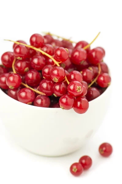 Rote Johannisbeeren — Stockfoto