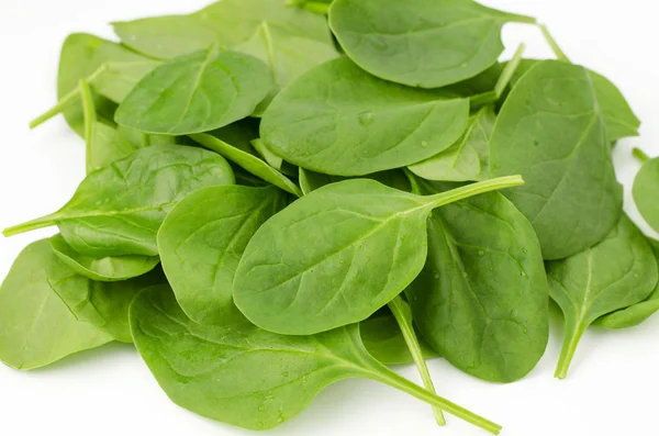 Spinach — Stock Photo, Image