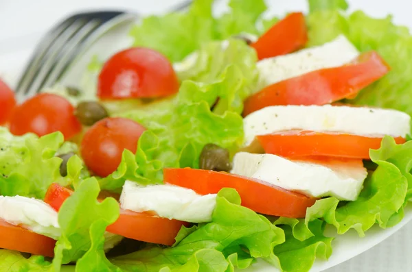 Domatesli salata ve mozzarella. — Stok fotoğraf