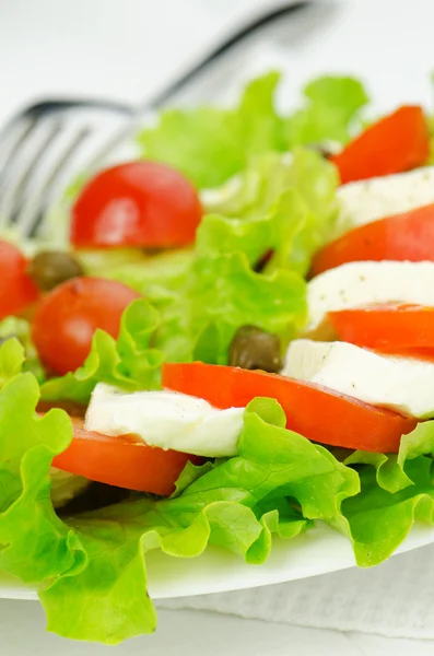 Salad with tomatoes and mozzarella — Stock Photo, Image