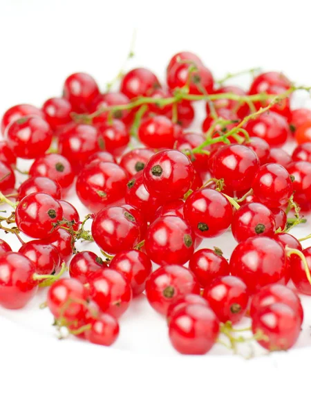 Rote Johannisbeeren — Stockfoto