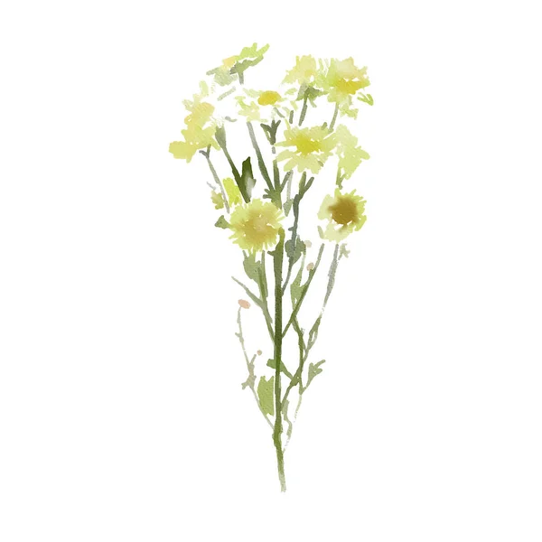 Akvarell Kézzel Festett Sárga Virágokkal Zöld Levelek Fehér Háttérrel Tavaszi — Stock Fotó