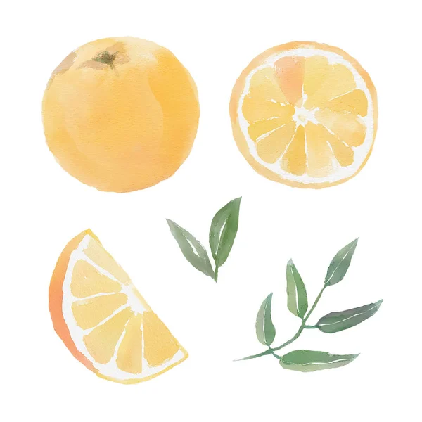 Aquarelset met sinaasappels, schijfje sinaasappel, groene takken en bladeren — Stockfoto