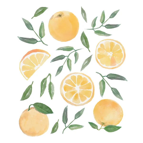 Sada akvarelů s pomeranči, plátek pomeranče, zelené větve a listy — Stock fotografie