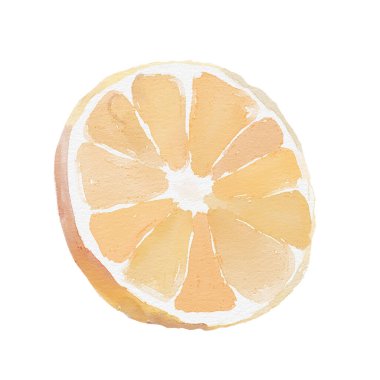 Suluboya portakal, bir dilim portakal