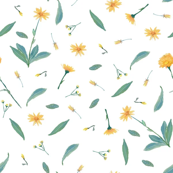 Υδατογραφία αδιάλειπτη μοτίβο με φαρμακευτικά φυτά, κίτρινο, πορτοκαλί λουλούδια με πράσινα φύλλα — Φωτογραφία Αρχείου
