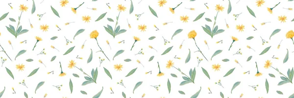 Akvarel hladký vzor s léčivými rostlinami, žluté, oranžové květy se zelenými listy — Stock fotografie