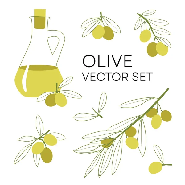 Ensemble Vecteurs Olive Art Linéaire Avec Des Branches Vertes Olivier — Image vectorielle