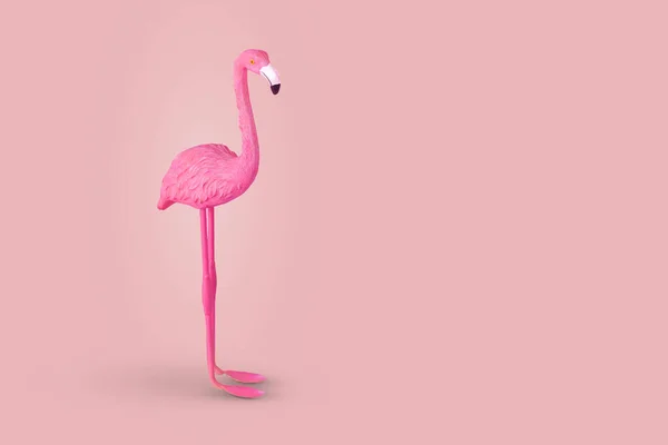 粉红色背景的粉红火烈鸟 最小夏天的概念 复制空间 — 图库照片
