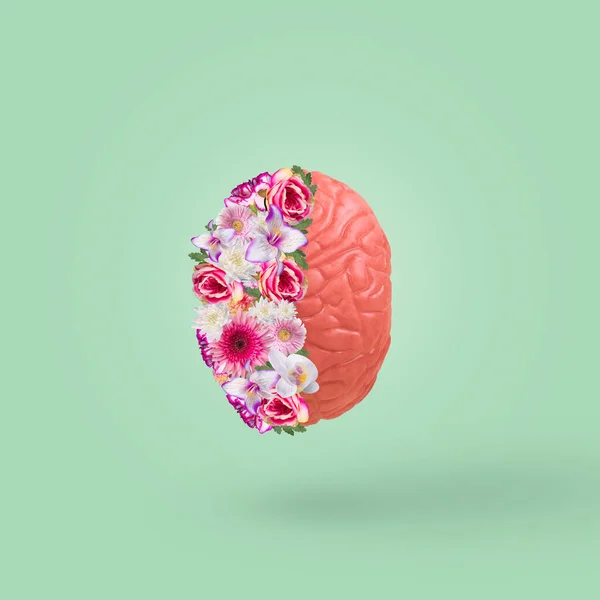 Creatief Idee Met Hersenen Kleurrijke Bloemen Geïsoleerd Een Pastelgroene Achtergrond — Stockfoto
