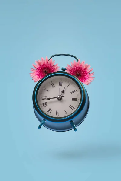 Reloj Despertador Retro Vintage Con Flores Frescas Hermosas Gerberas Volando —  Fotos de Stock