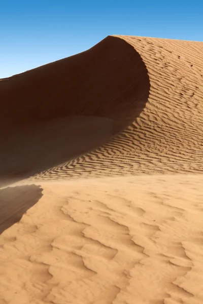 Duna de arena en el desierto —  Fotos de Stock