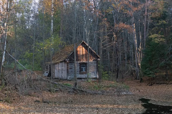 Stary Drewniany Dom Stoi Sam Zaniedbywany Odległym Jesiennym Lesie Staw — Zdjęcie stockowe