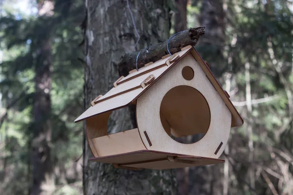 Wooden Bird Feeder Birdhouse Tree Forest Birdhouse Close — Zdjęcie stockowe