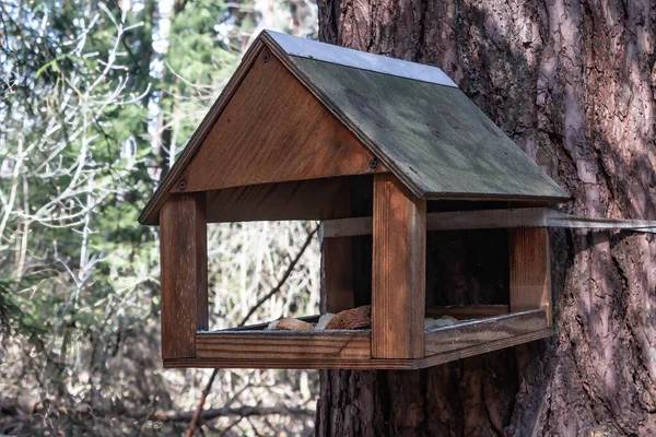 Casa Aves Alimentadora Pájaros Madera Árbol Bosque Primer Plano Birdhouse — Foto de Stock