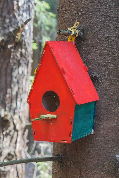 Wooden Bird Feeder Birdhouse Tree Forest Birdhouse Close — Zdjęcie stockowe
