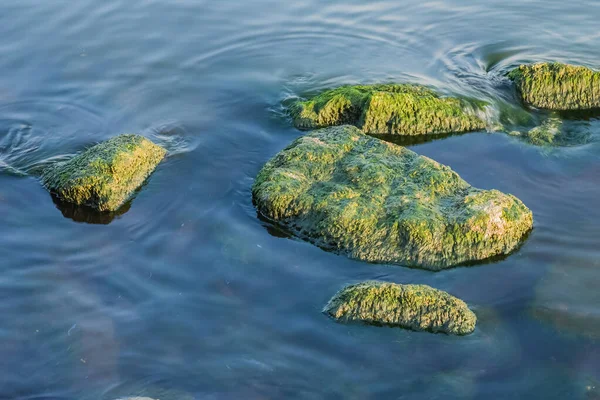 Vervuiling Van Het Zeewatergebied Een Grote Abstracte Vlek Van Motorolie — Stockfoto