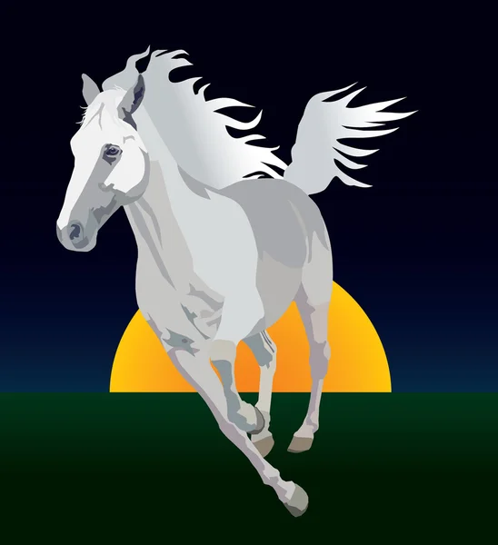 Caballo blanco — Archivo Imágenes Vectoriales