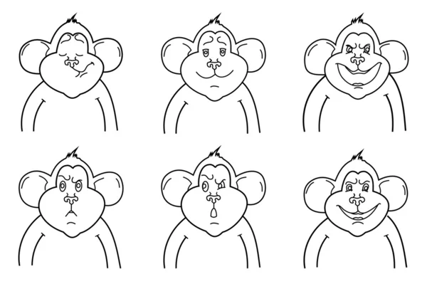 Schema vettoriale delle scimmie — Vettoriale Stock