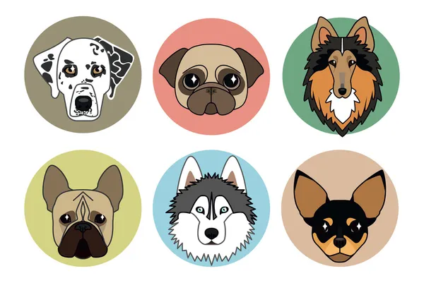 Iconos vectoriales de diferentes razas de perros — Archivo Imágenes Vectoriales