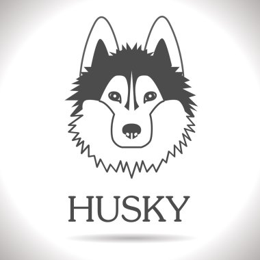 vektör husky