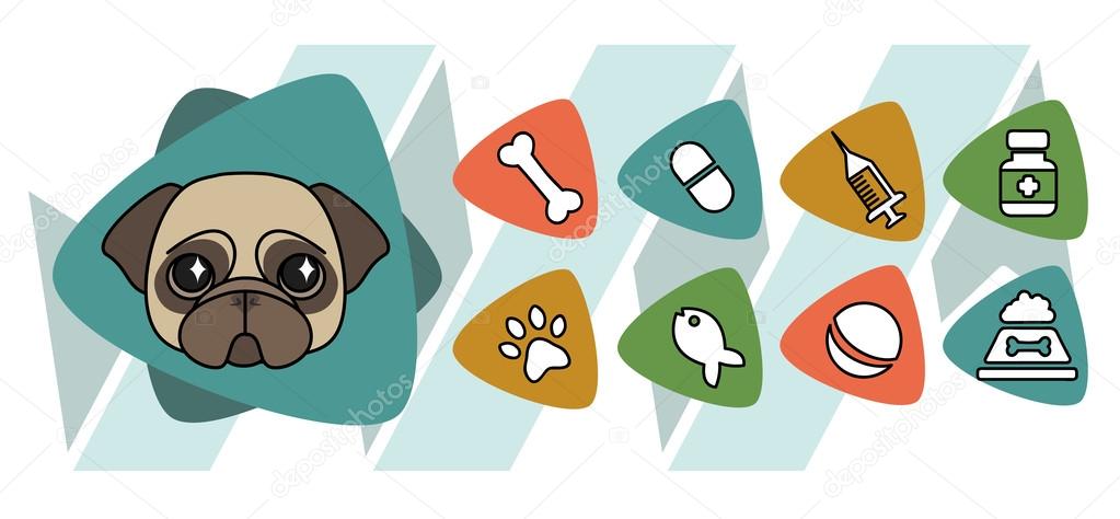 veterinary icons depicting a pug