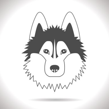 bir köpeğin gri bir arka plan üzerinde siyah görüntü