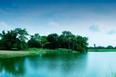 Orman göl ve dramatik gökyüzü manzarasıyla çevrili.
