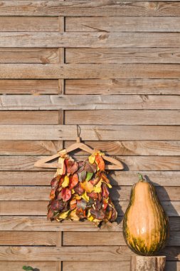 sonbahar arka plan. sonbahar satış konsepti. Eco-dostça giyim. Konsept gidin yeşil teknoloji. doğal malzemelerden yapılmış ceket.