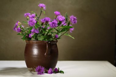 vahşi bahar çiçekleri