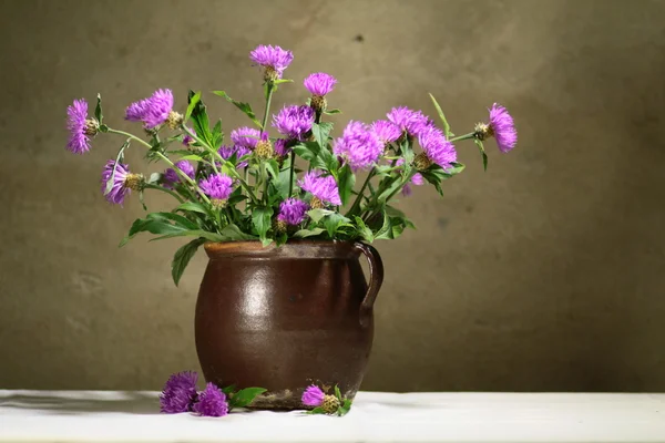 Flores selvagens da primavera — Fotografia de Stock