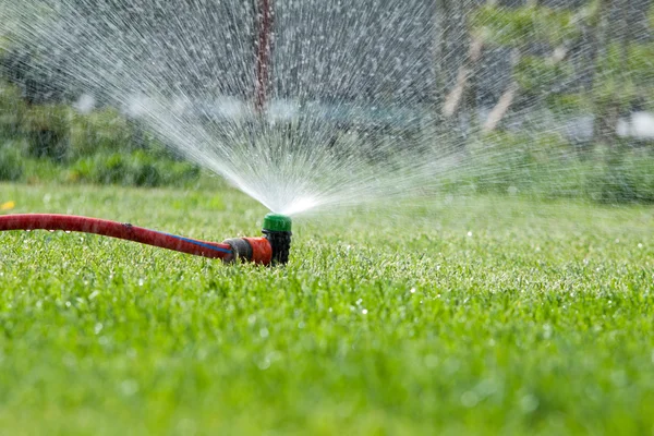 Aspersor de césped rociando agua sobre hierba verde — Foto de Stock