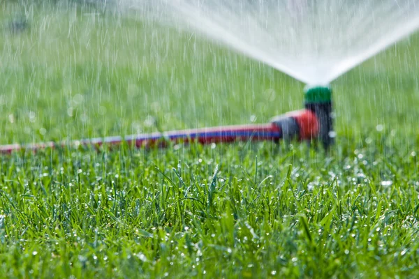Lawn sprinkler spraying water over green grass — Stock Photo, Image